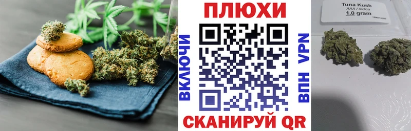 где найти наркотики  Краснозаводск  Canna-Cookies конопля 