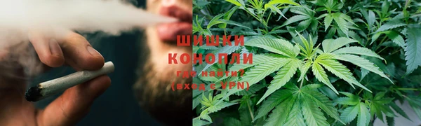 прущие крисы Елизово
