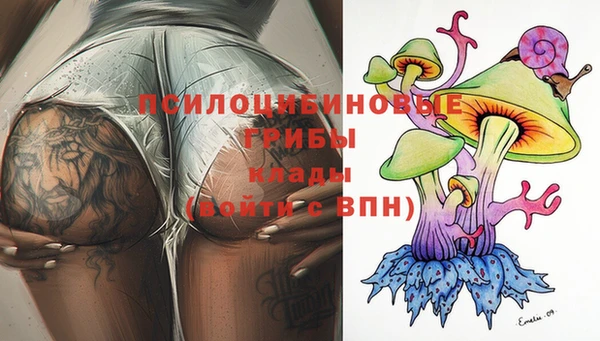 прущие крисы Елизово