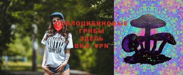 соль курить ск Ельня