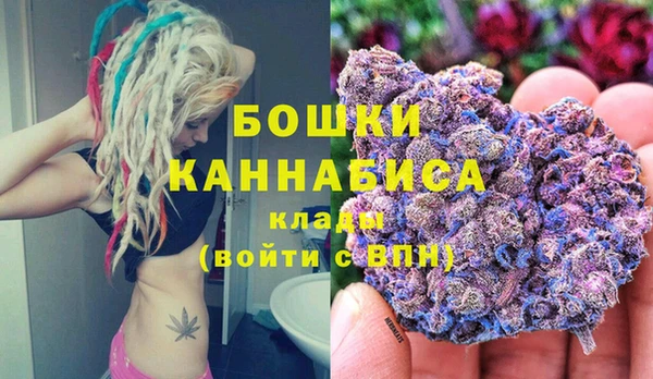 прущие крисы Елизово