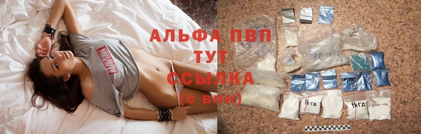 прущие крисы Елизово