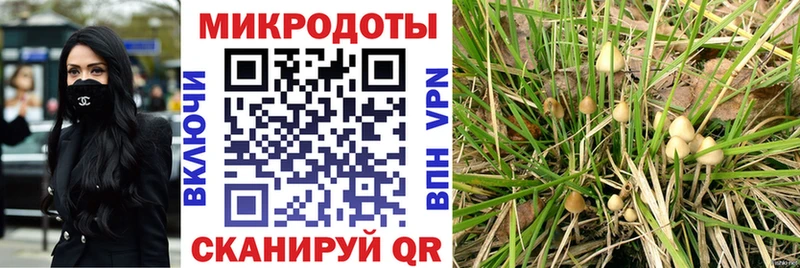 Псилоцибиновые грибы мухоморы  ОМГ ОМГ ссылки  Краснозаводск 